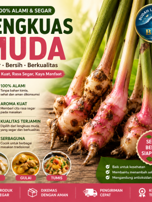 lengkuas muda segar pilihan – aroma kuat, bersih & siap masak