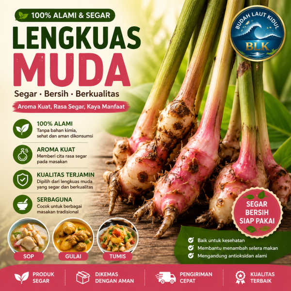 lengkuas muda segar pilihan – aroma kuat, bersih & siap masak