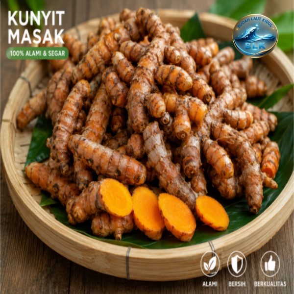 kunyit masak segar pilihan – 100% alami, bersih & berkualitas